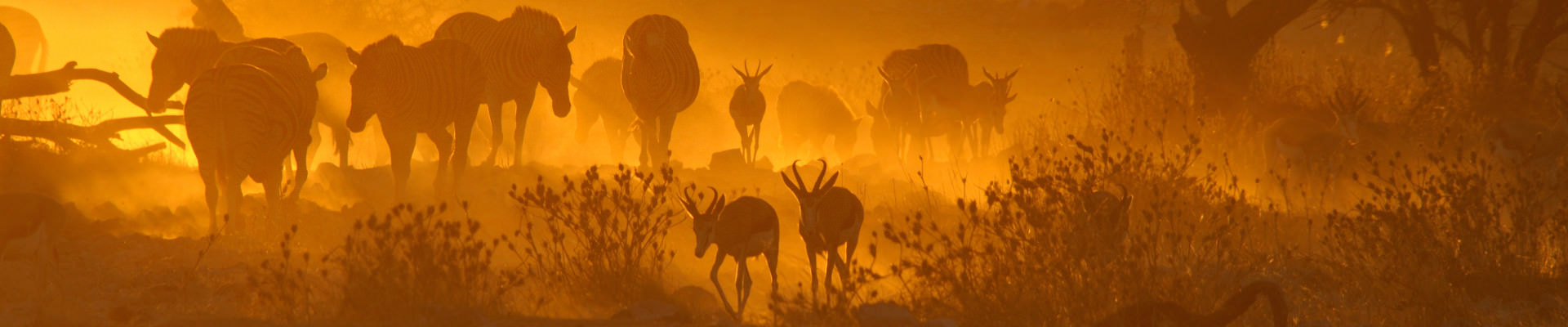Sdafrika & Swaziland - Abseits der Touristenpfade